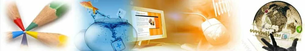Web Designing, website  Development, website developer, web portal development